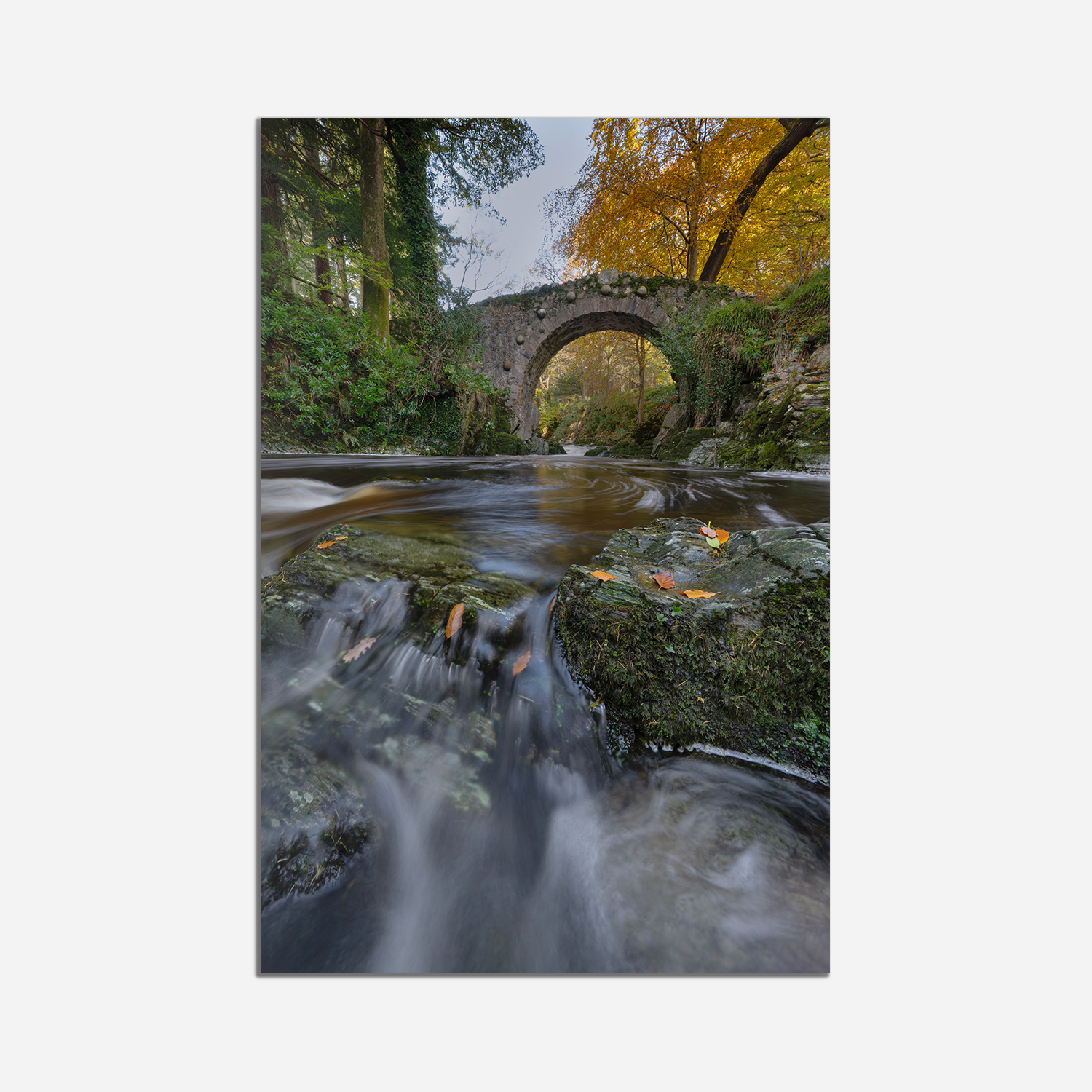 Foleys Bridge in Autumn (Tollymore Forest) Print