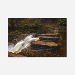 Tollymore Stepping Stones Canvas